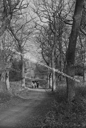 ST MARY'S VILLA DOG NOVICES ON WALK WINTER SUNSHINE